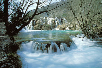 Lac d'eau pure et cristalline / Croatie